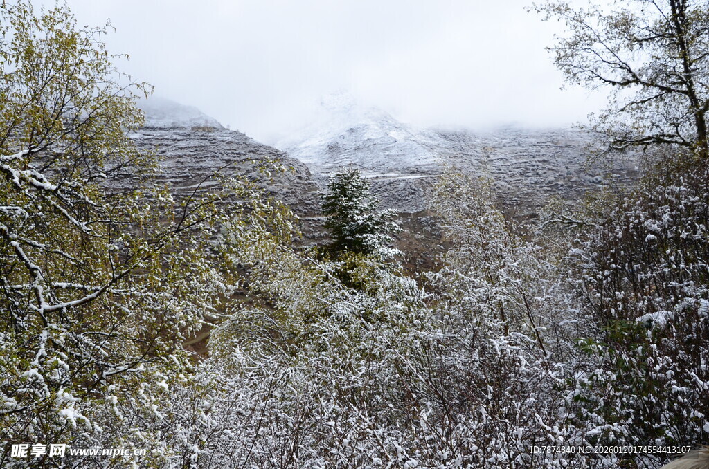 雪覆山林美景