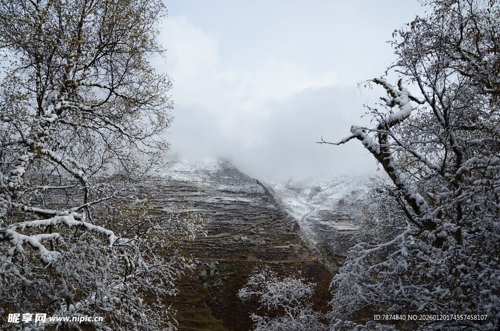 雪覆山林美景