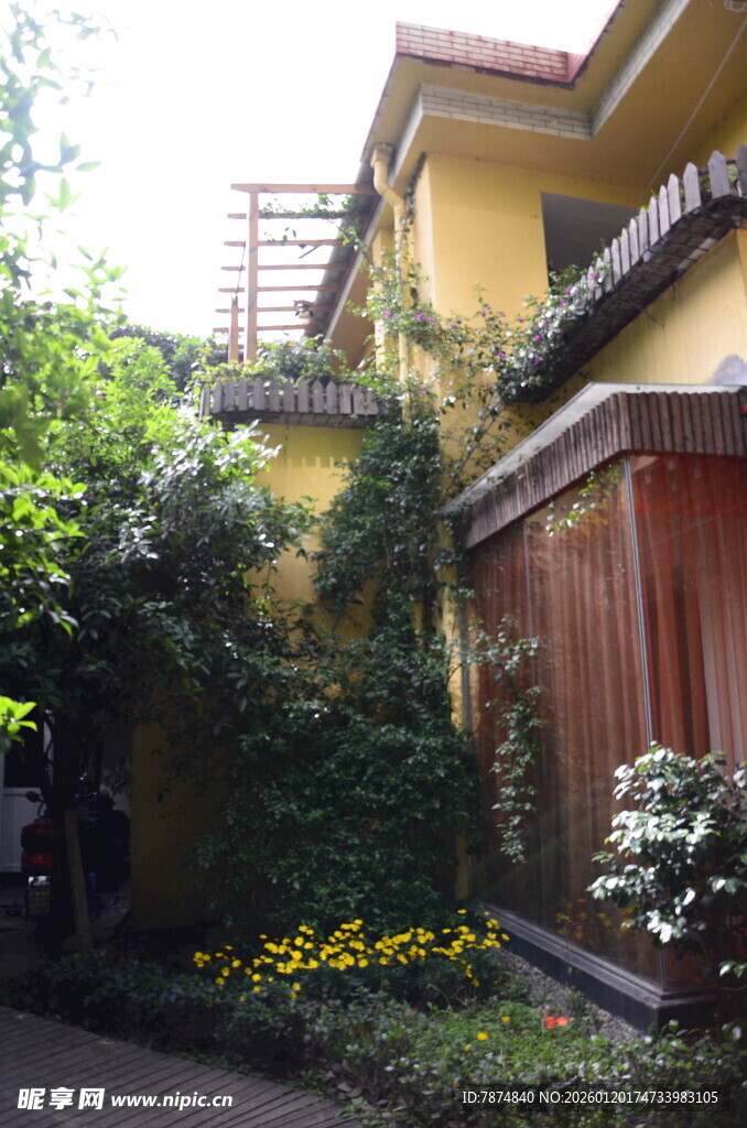 黄墙绿植环绕的温馨住宅