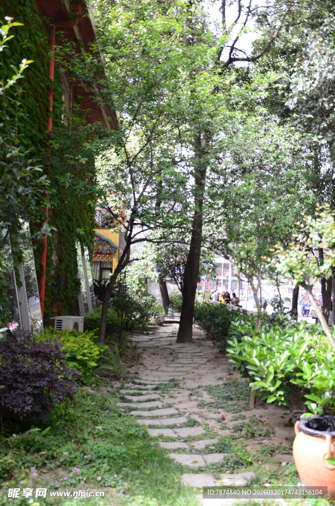 林间石径 静谧自然景致