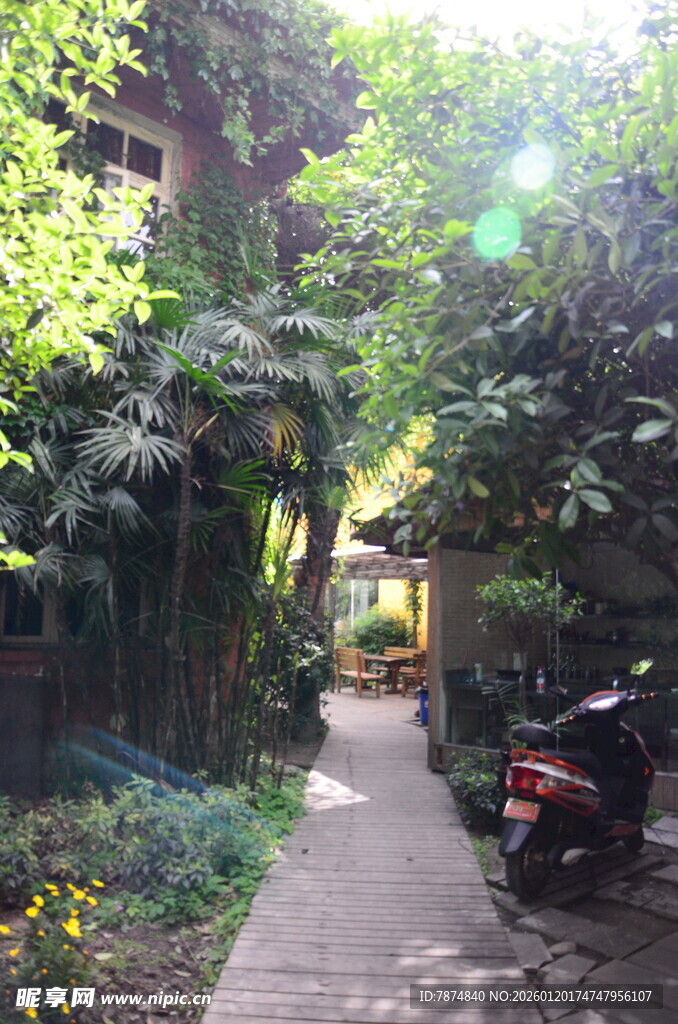 幽静绿植环绕的庭院小道