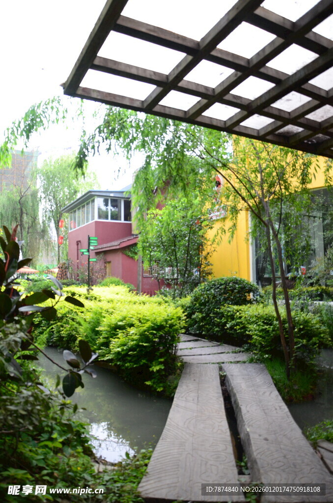 庭院绿植景观小径