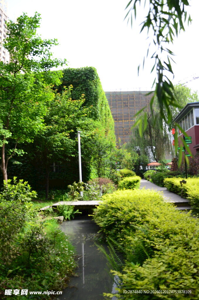 静谧庭院绿植景观