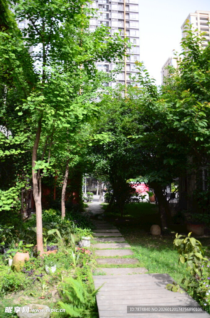 城市中的静谧林荫小道