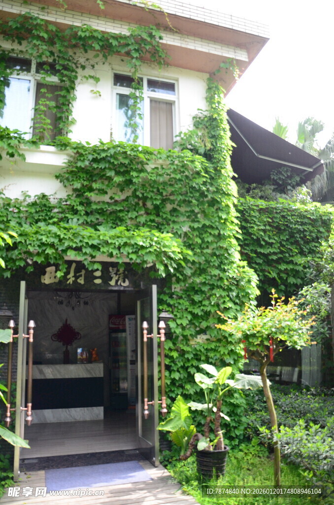 藤蔓覆盖的雅致建筑