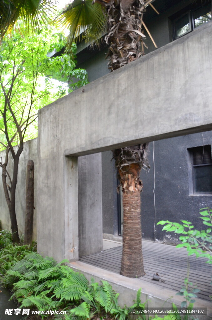 庭院中的混凝土结构景观