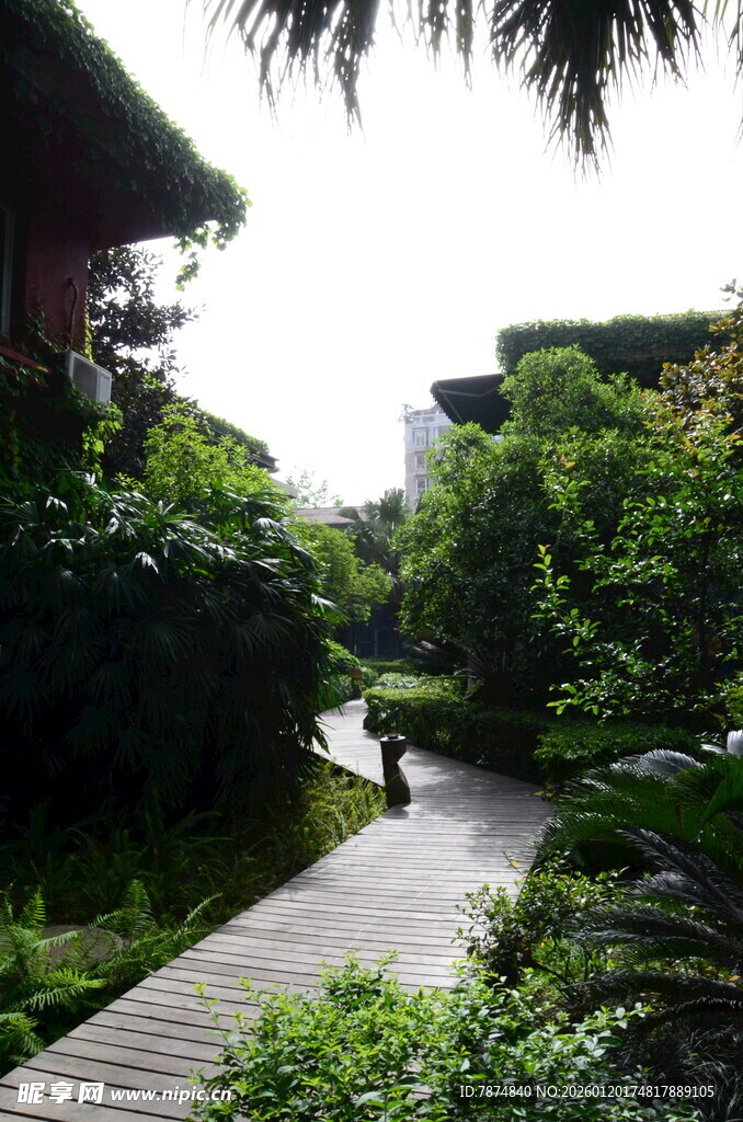 林间幽径 邂逅自然之美