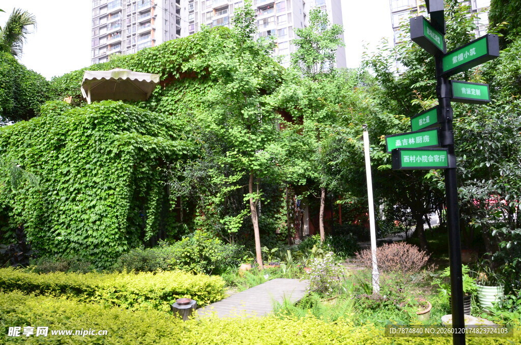 城市中的绿意盎然花园