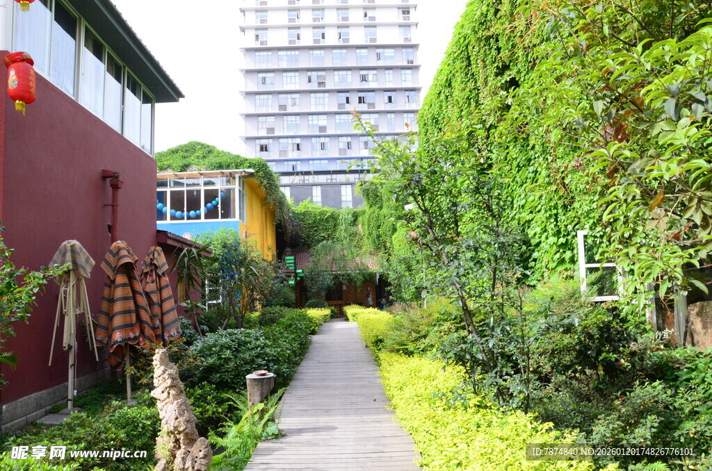 庭院绿植环绕的幽静小道