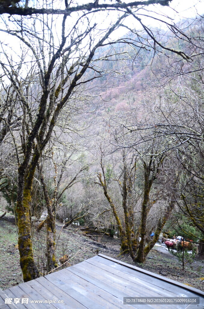 雪覆山谷中的木质平台