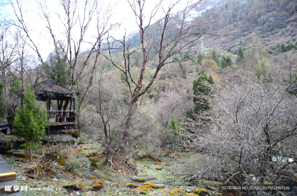 山间古朴亭子与萧瑟树林