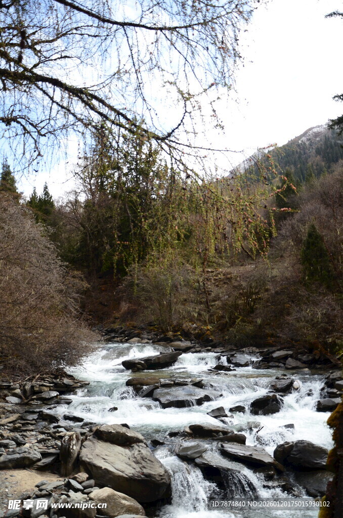 山间溪流潺潺的自然美景
