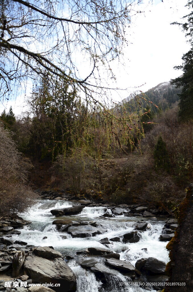 山间溪流 自然宁静之景