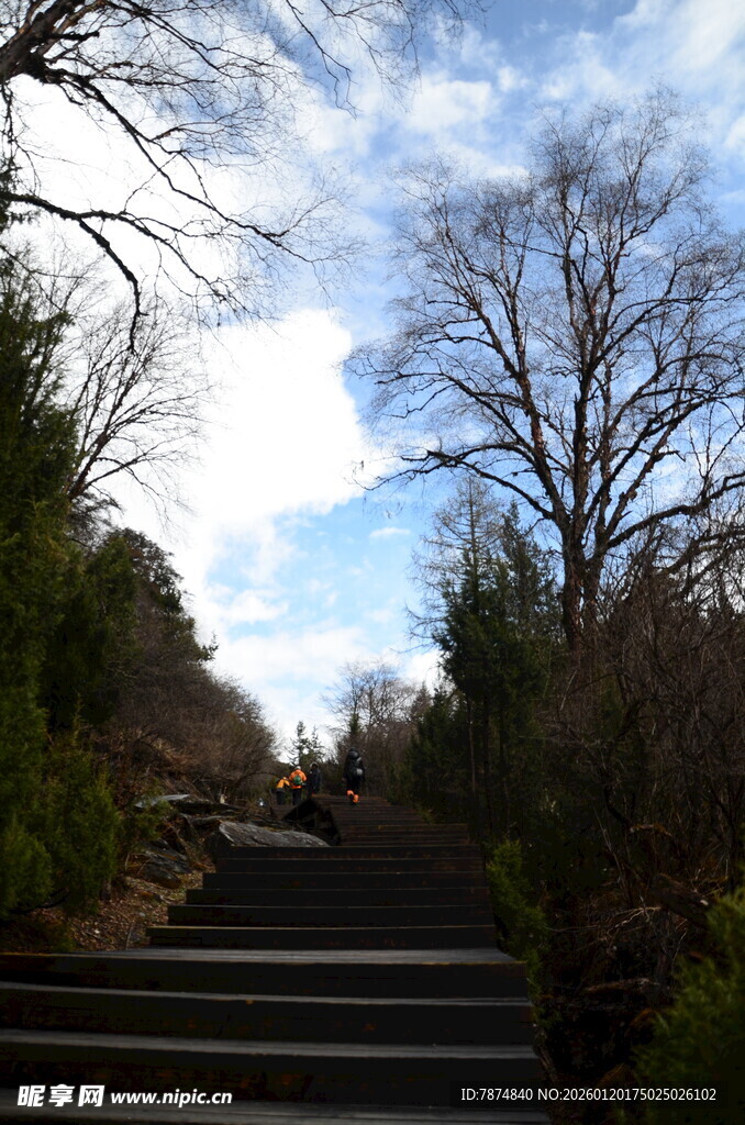 林间石阶 冬日景致