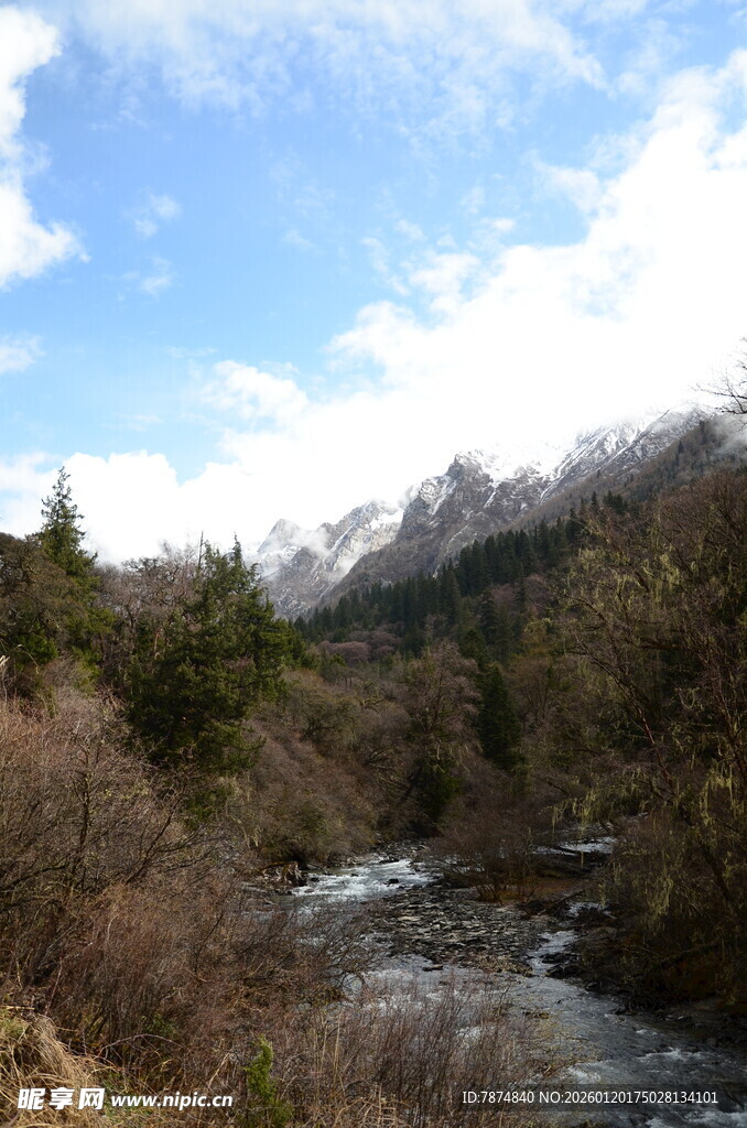 山间溪流与远处雪山美景