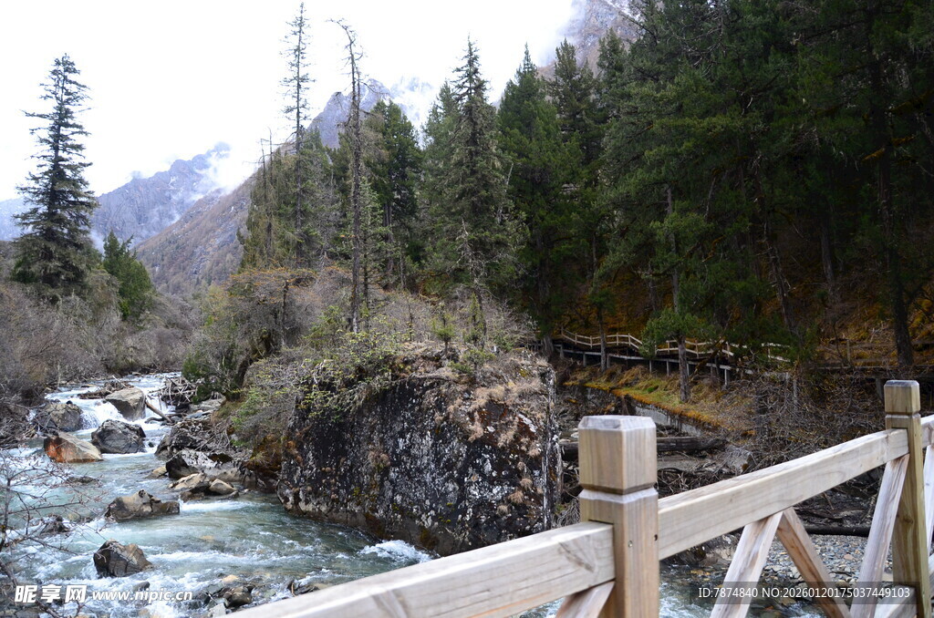 山间木桥旁的潺潺溪流
