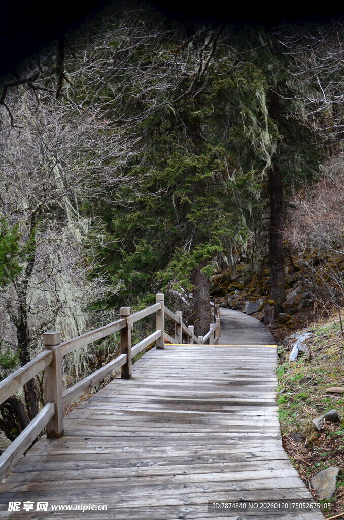 山间木栈道 自然好风光