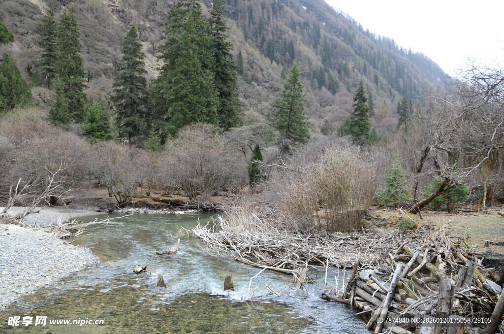 山间溪流旁的自然景致