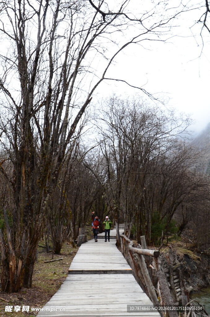 冬日木栈道漫步景致
