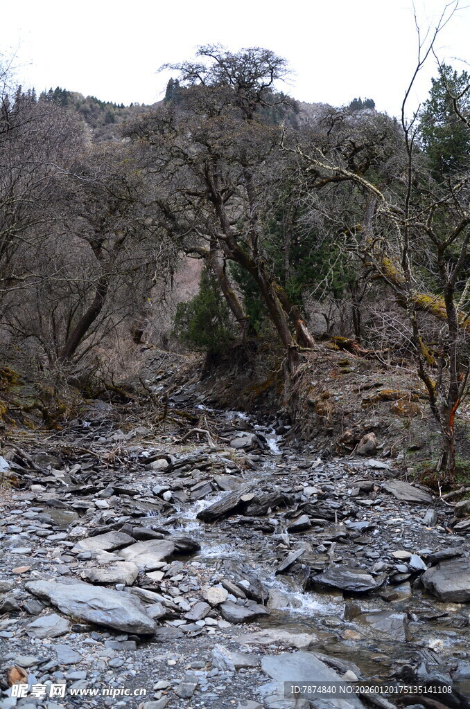 山间碎石溪流景象