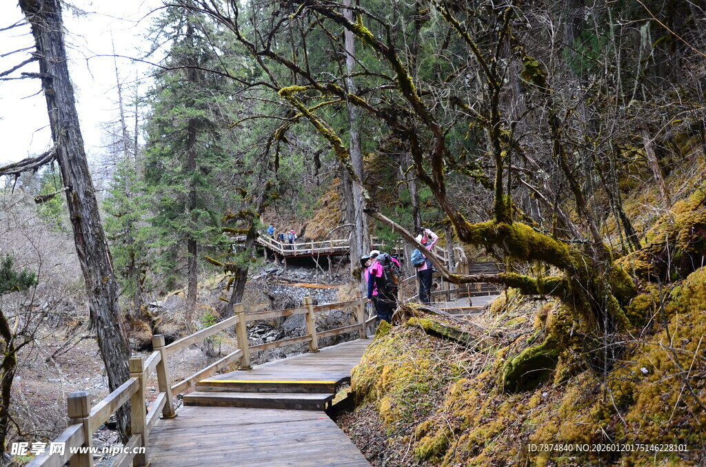 山间木栈道上的徒步者