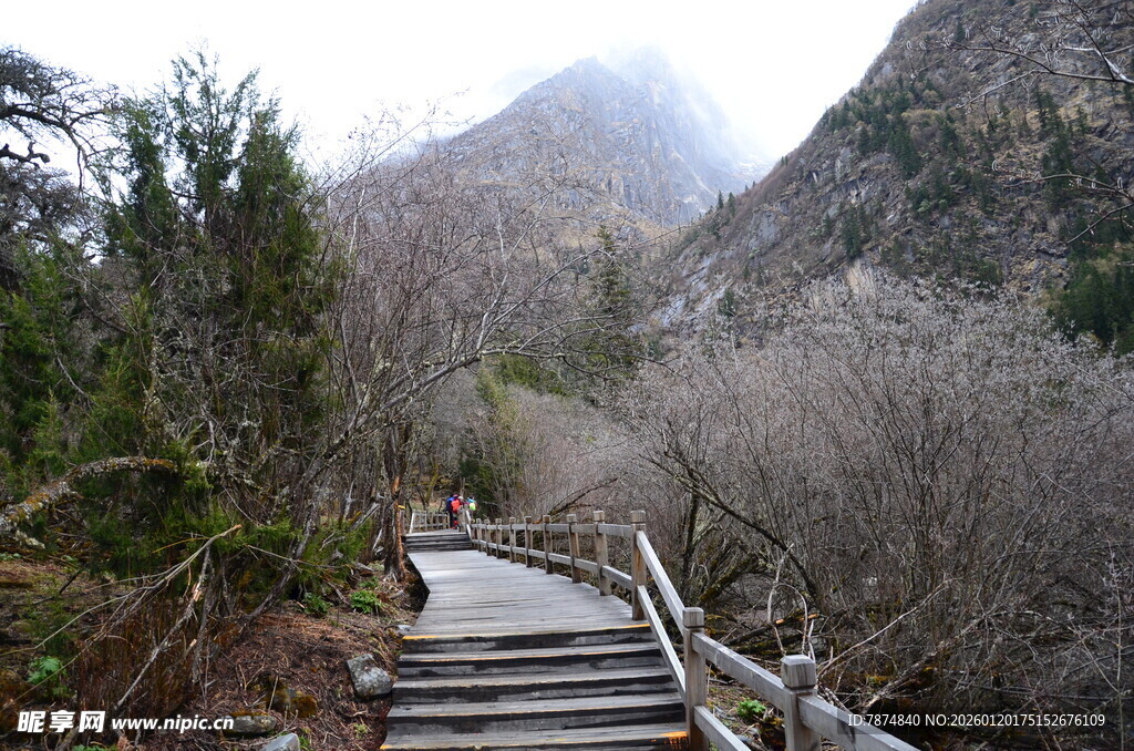 山间木栈道 雾霭山林景