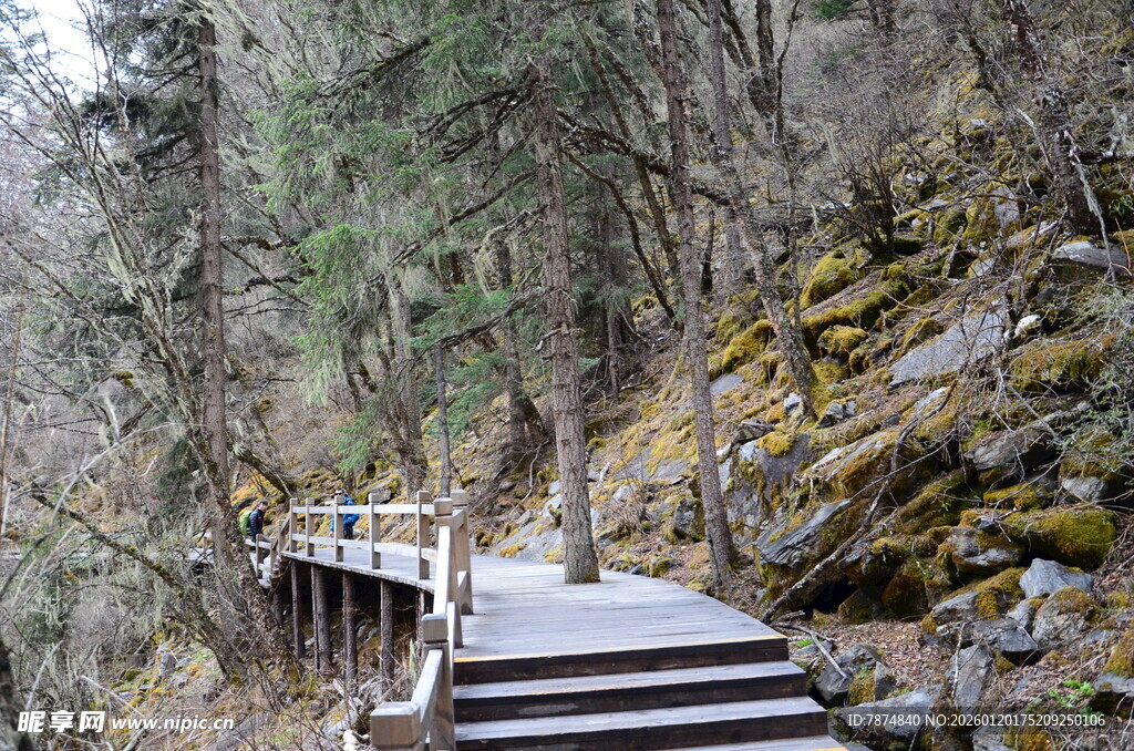 山间木质栈道 自然景致