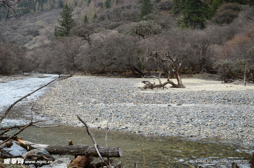 山间河滩景象