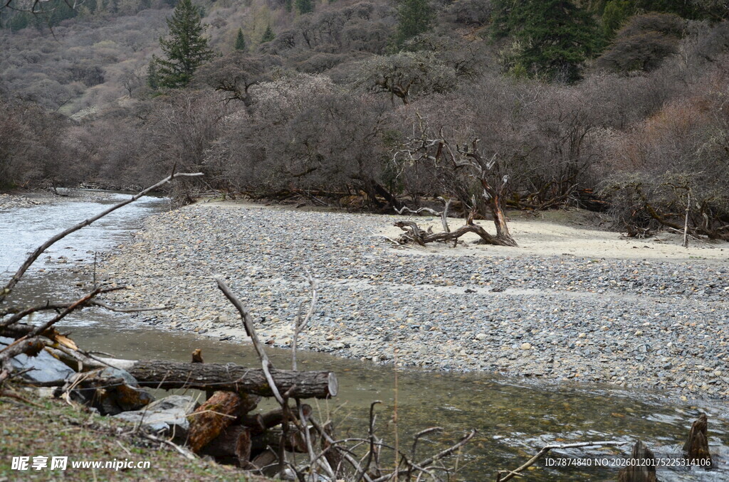 山间河岸的自然景象