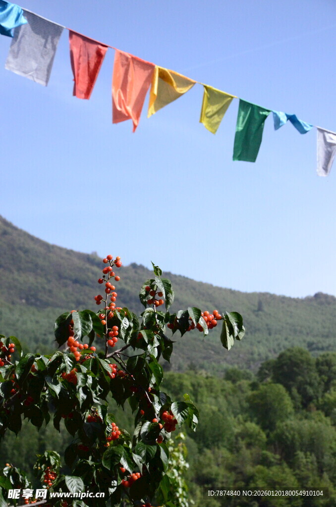 山间飘扬的多彩经幡
