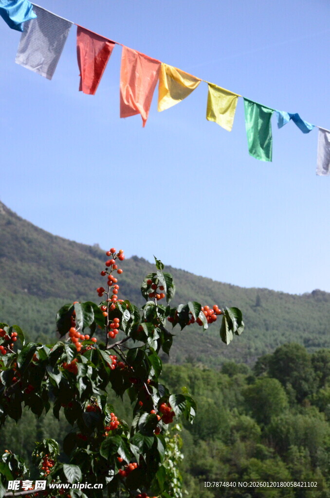 山间飘扬的多彩经幡
