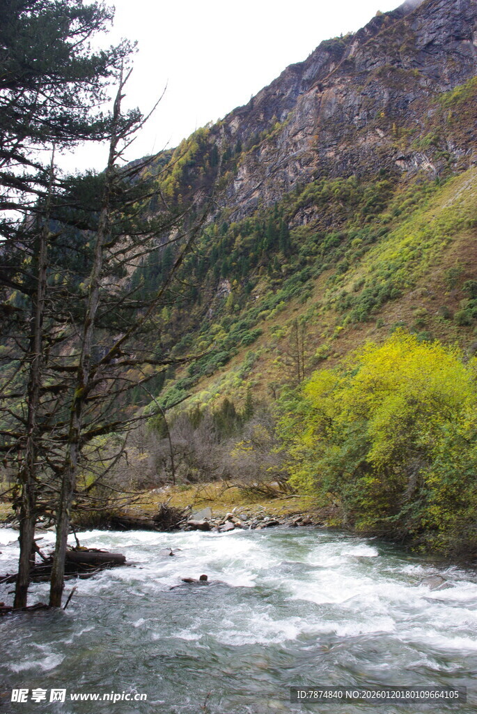 山间湍急溪流与葱郁山林