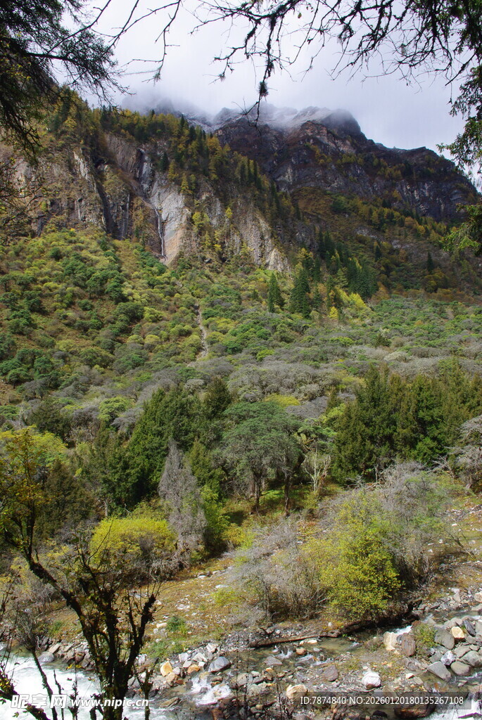 山间绿意盎然的自然景致