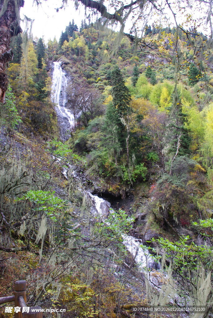 山间瀑布丛林美景