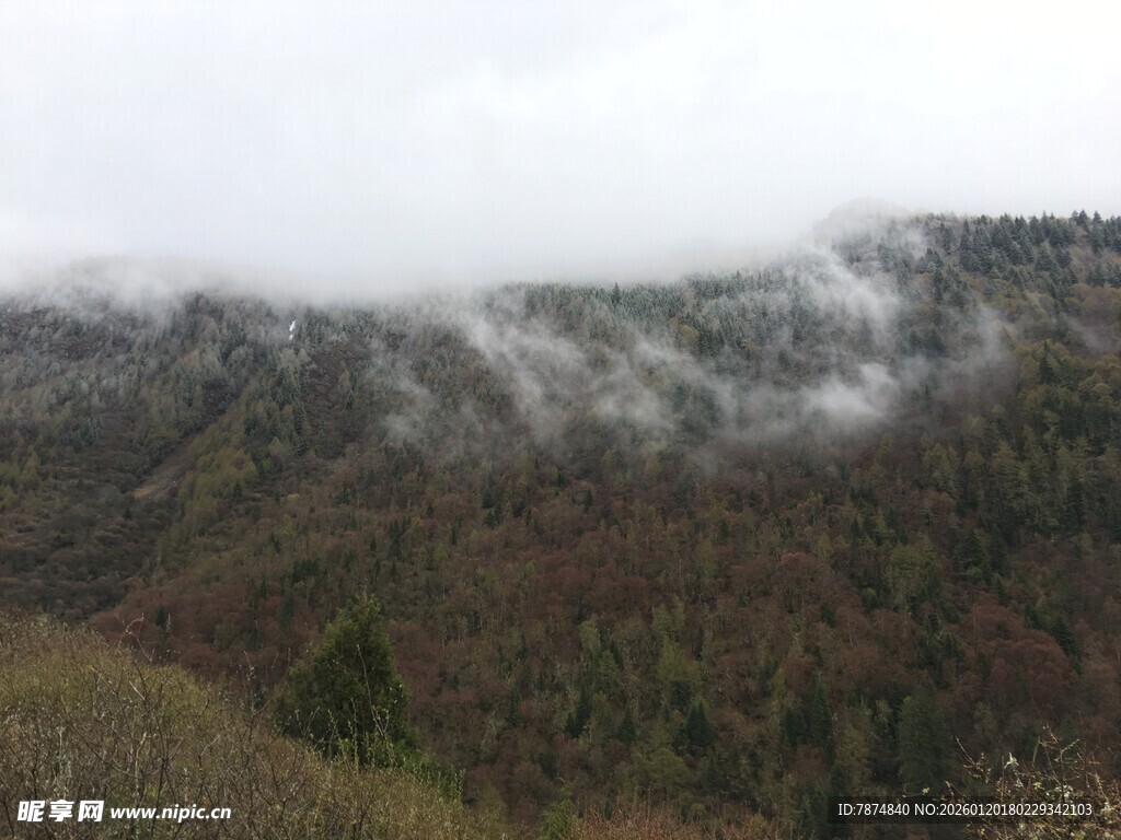 山间云雾缭绕的秀丽景致