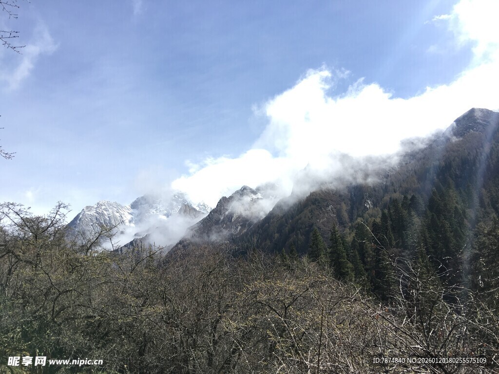 雪山下的葱郁山林