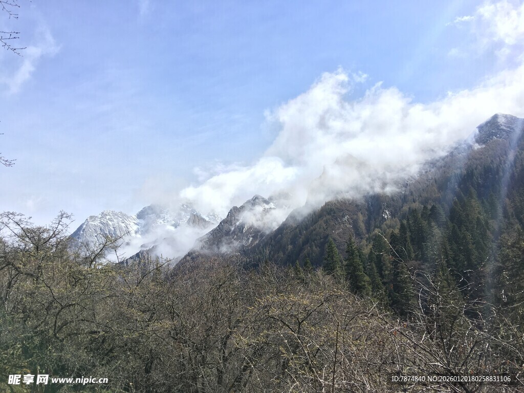 雪山下的葱郁山林