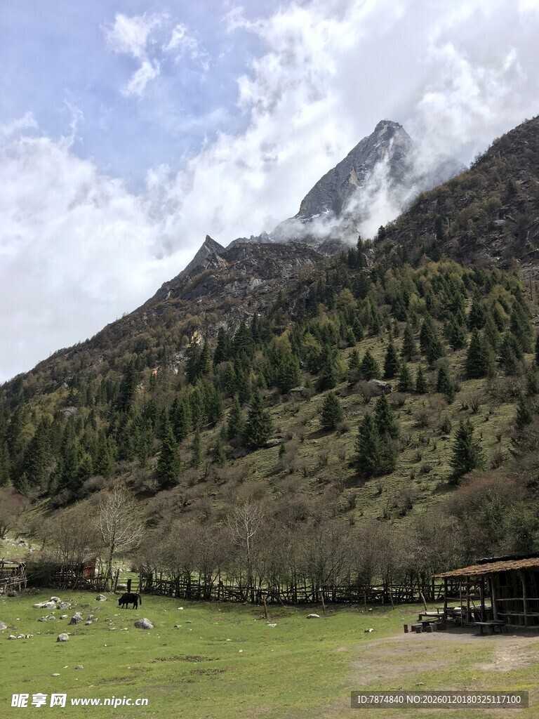 山间草地旁的巍峨山峰
