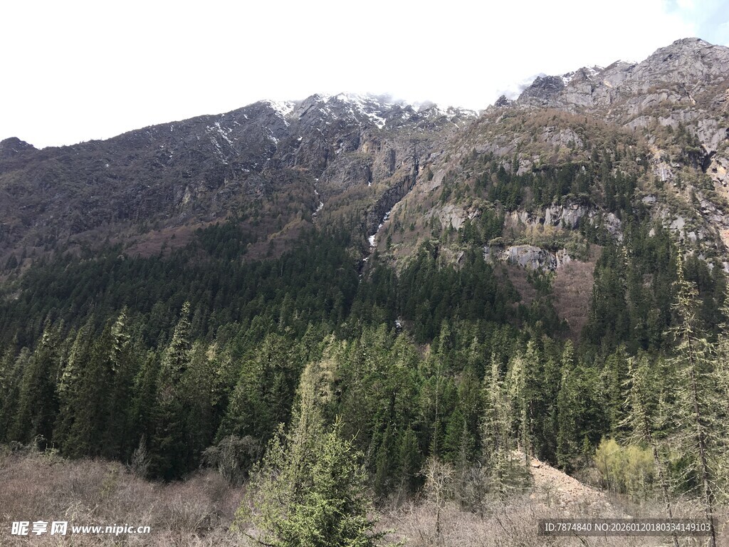 山林景致 绿意盎然的山脉