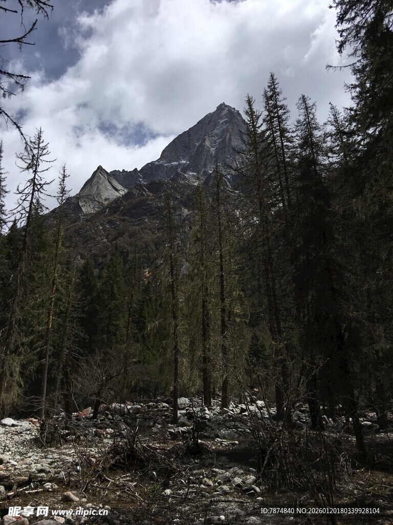 山林中的巍峨山峰