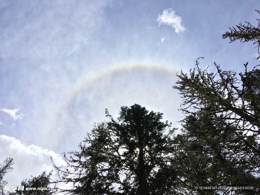 天空中飞机与彩虹和树木