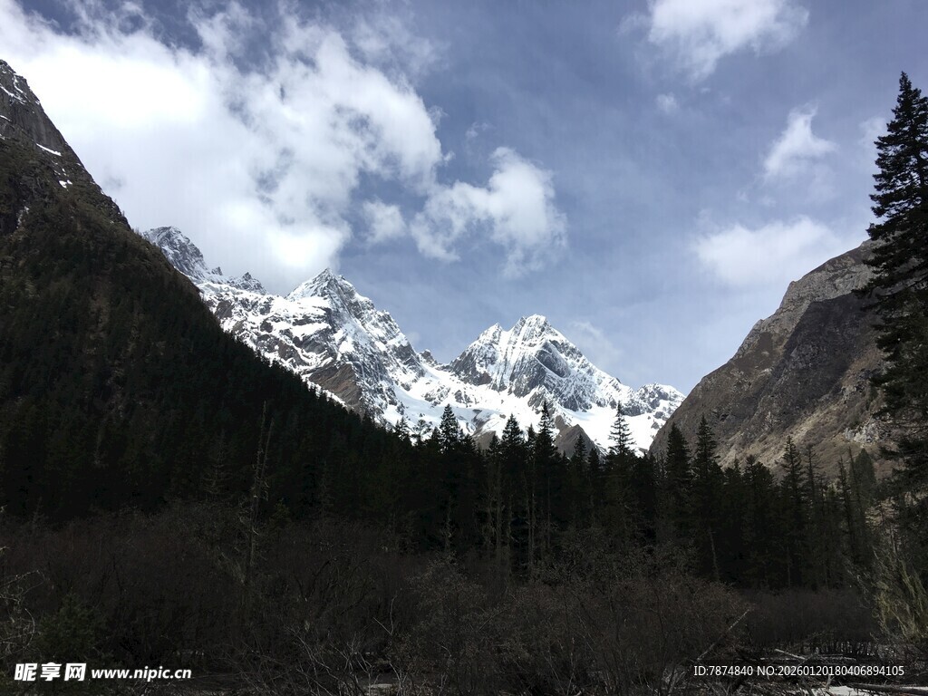 雪山峡谷森林壮丽景观