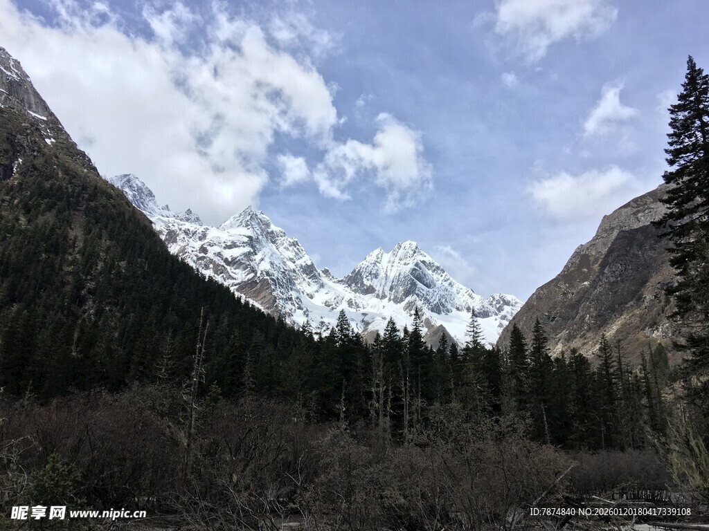 雪山森林美景