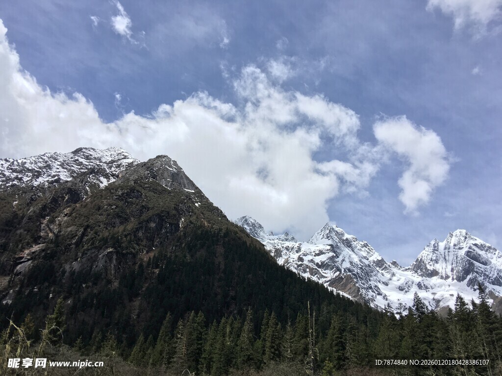 壮丽雪山与葱郁山林景观