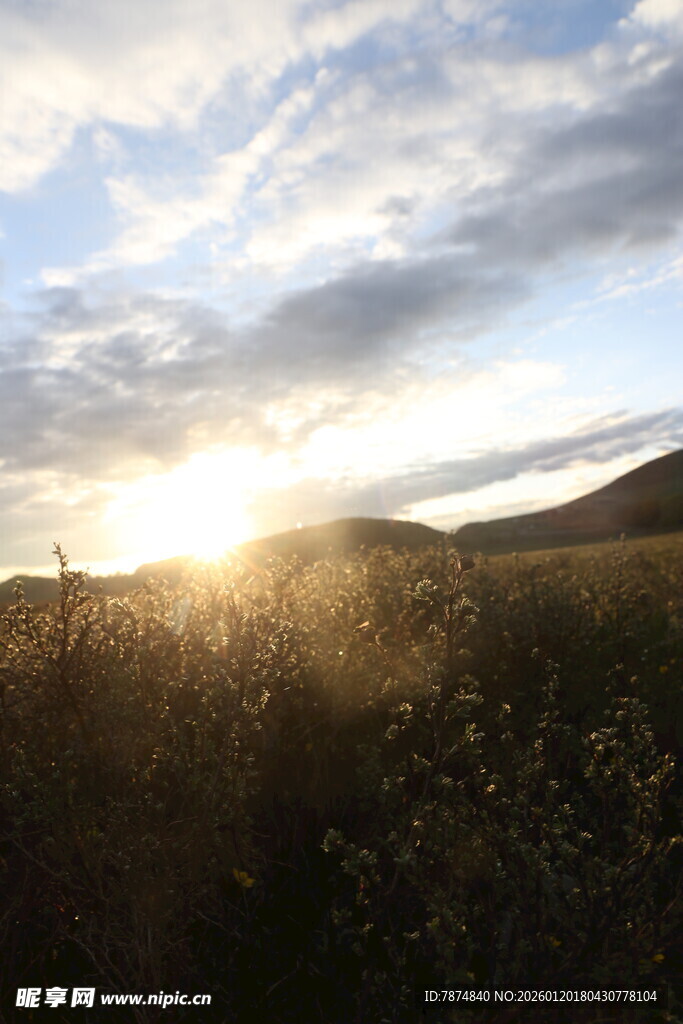夕阳下的旷野美景