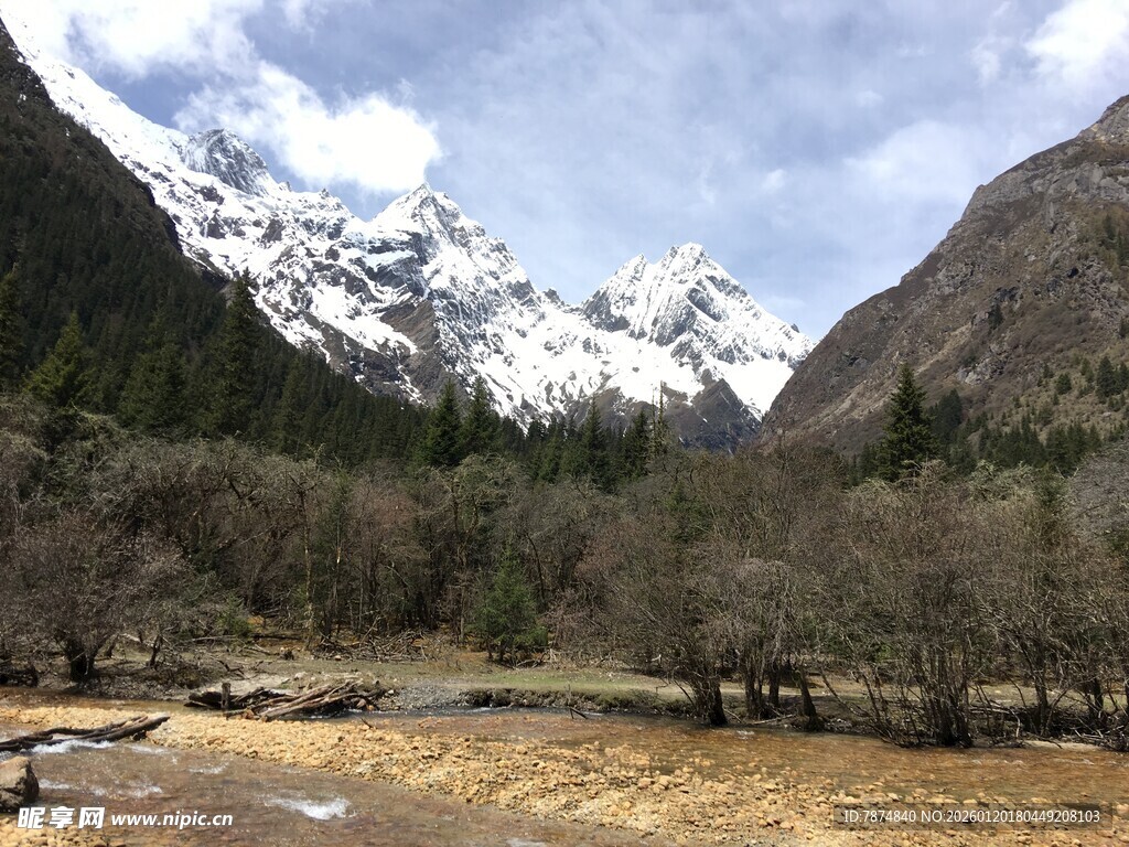 雪山下的河谷风光