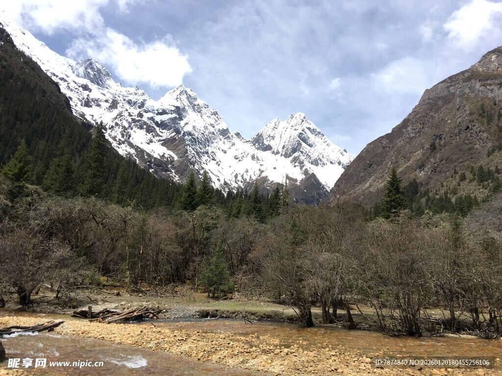 雪山下的河谷风光