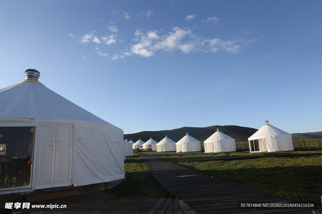 草原上的白色蒙古包群落