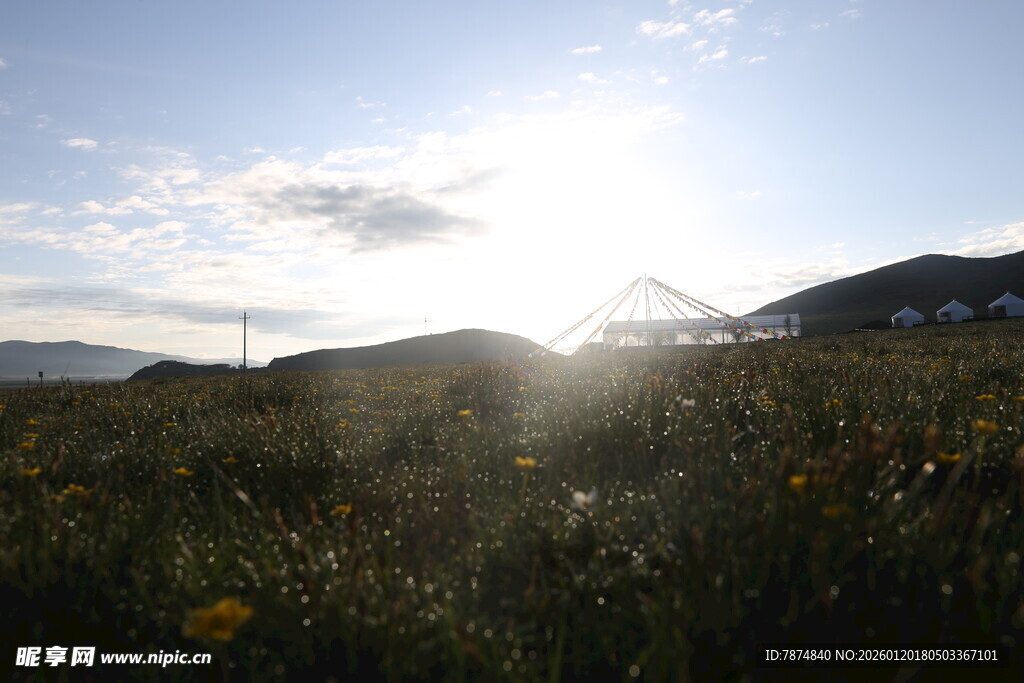 草原上的阳光美景