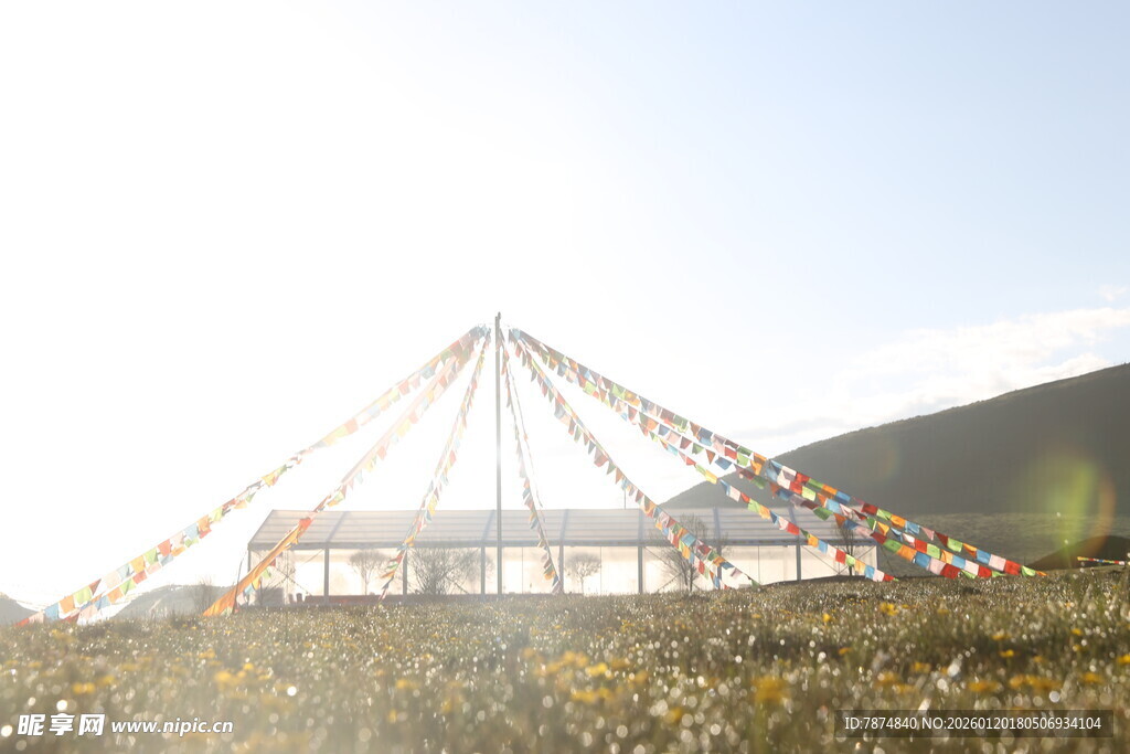 草原上的彩色帐篷